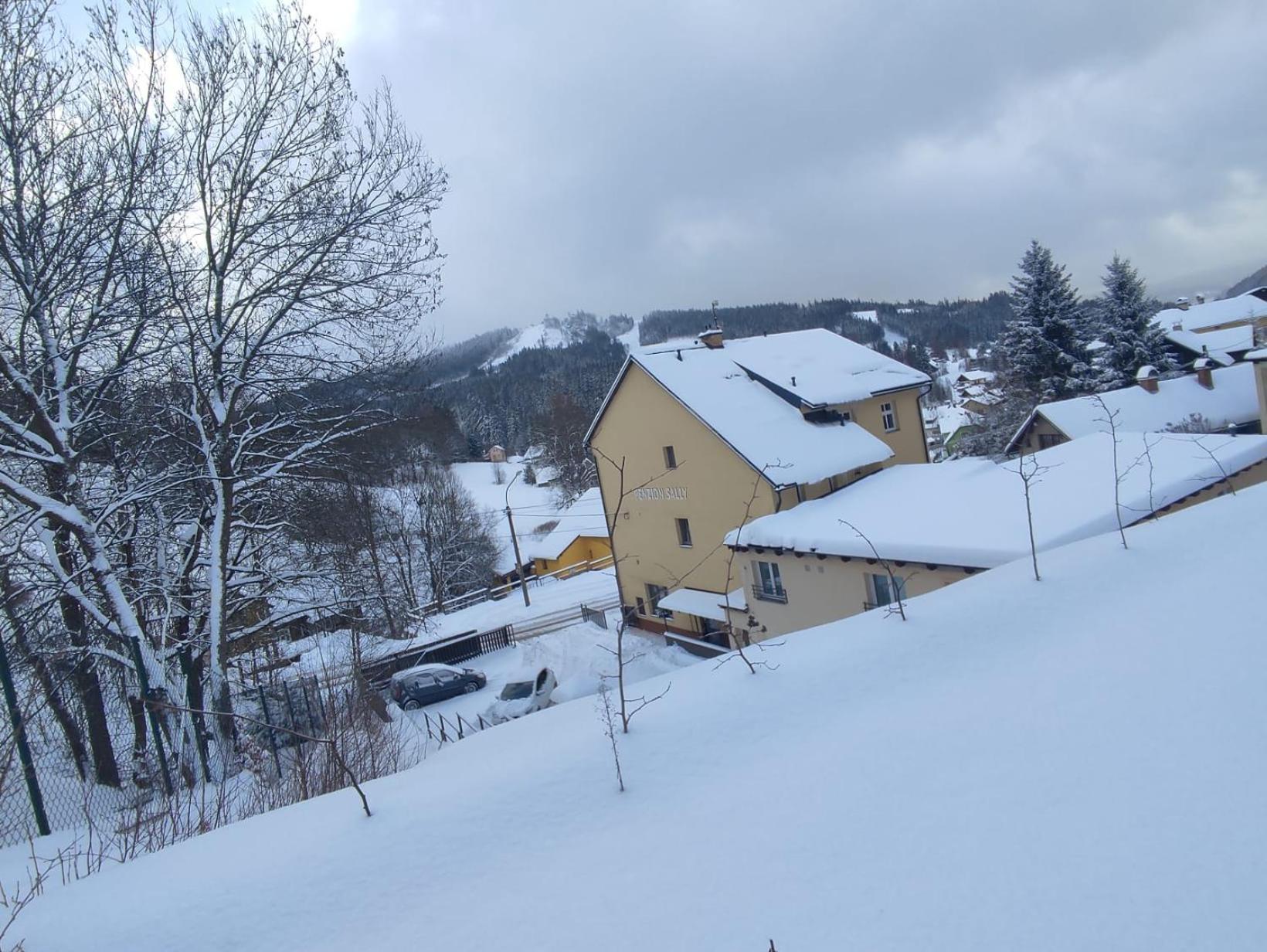 Penzion Sally Albrechtice v Jizerskych horach Bagian luar foto